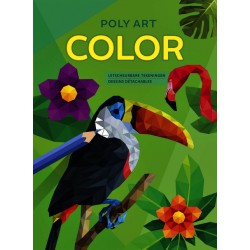 Kleurboek Deltas Poly Art Color