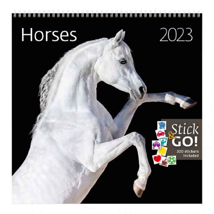 Kalender 2025 Helma 365 30x30cm paarden