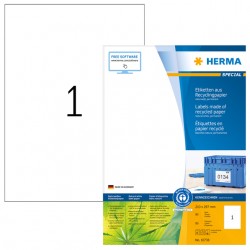 Etiket HERMA recycling 10738 210x297mm 80stuks wit