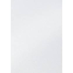 Fotokarton Folia 2-zijdig 50x70cm 250gr parelmoer nr00 wit