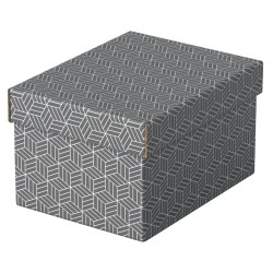 Opberg- en geschenkdoos Esselte home klein 200x150x255mm gr 3 st