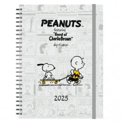 Agenda 2025 Lannoo bureau Peanuts 7dagen/2pagina's