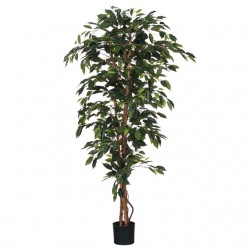 Kunstplant Mica Ficus in plastic pot 180x100cm