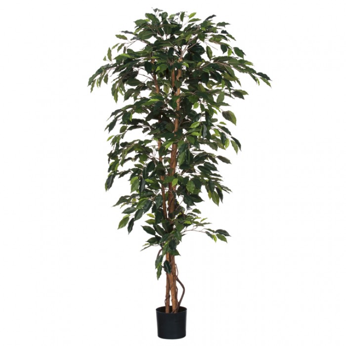Kunstplant Mica Ficus in plastic pot 180x100cm
