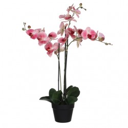 Kunstplant Mica Phalaenopsis orchideeën roze in plastic pot 79x51cm