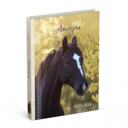 Schoolagenda 25-26 Lannoo Horses 1dag/1pagina geel