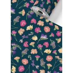 Apparaatrol Stewo Maila 150mx30cm
