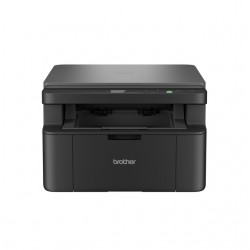 Multifunctional Laser printer Brother DCP-L1640W