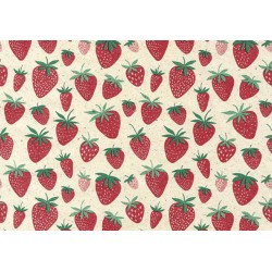 Apparaatrol Strawberry 200mx50cm