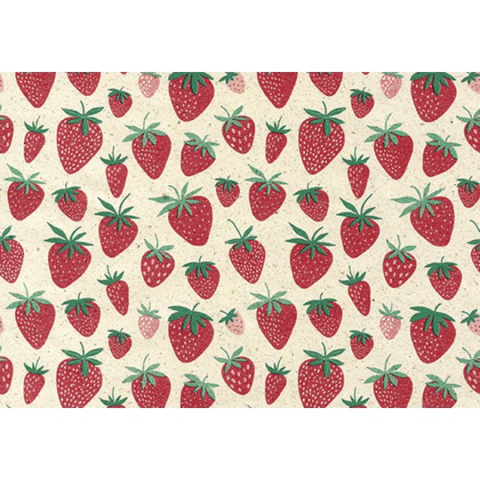 Apparaatrol Strawberry 200mx50cm