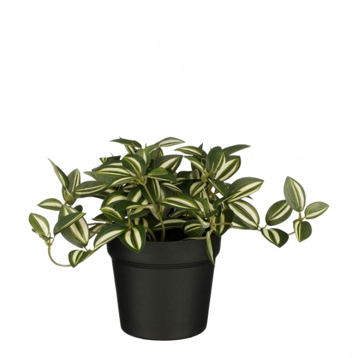 Kunstplant Mica Tradescantia in pot groen 16x16cm