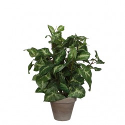 Kunstplant Mica Syngonium groen in pot Ø25 35cm