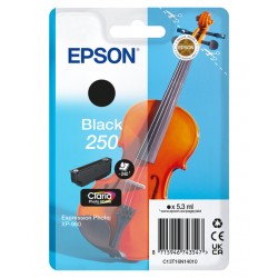 Inktcartridge Epson 250 T16N14 zwart