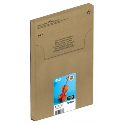 Inktcartridge Epson 250 T16N84 zwart  + 5 kleuren  Easymail