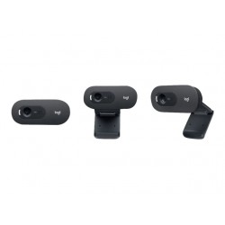 Webcam Logitech C505e