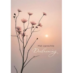 Wenskaart Hallmark condoleance bloemen pak &agrave; 6 stuks