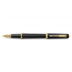 Vulpen Parker Meridian matt black GT medium