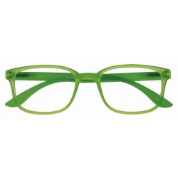Leesbril I Need You +2.50 dtp Rainbow groen