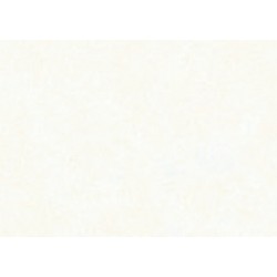 Zijdevloeipapier Folia 50x70cm 20gr nr00 wit 10 vel