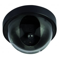 Nepcamera
