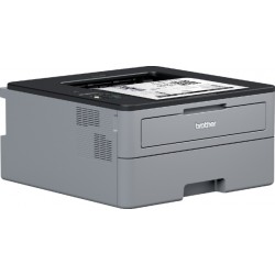 Printer Laser Brother HL-L2350DW